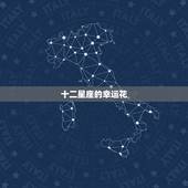 十二星座的幸运花，十二星座适合的花