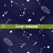 2023年一月兔的运势