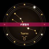 起名字女孩生辰八字(如何选择最合适的名字)