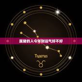 属猪的人今年财运气好不好，属猪男今年财运好不好