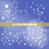 白羊座2023年正缘(命中注定的爱情)