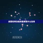 战国名将白起的属相是什么生肖，我想了解春秋战国时期的名将白起和什么啊