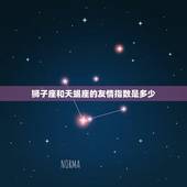 狮子座和天蝎座的友情指数是多少，天蝎狮子匹配度