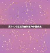 属牛人今日运势查询运势水墨先生(告诉你今日的运势如何)