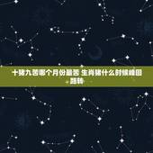 十猪九苦哪个月份最苦 生肖猪什么时候峰回路转