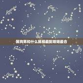 属狗男和什么属相最配婚姻最合，属狗男的和什么属相最配