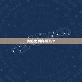 情侣生肖有哪几个，十二生肖婚姻配对表