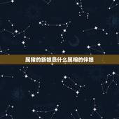 属猪的新娘忌什么属相的伴娘，数猪的女人结婚用什么属相的伴娘好