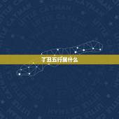 丁丑五行属什么，己亥时属什么五行属相表