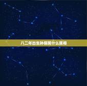 八二年出生孙俪属什么属相，孙俪属什么