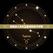 属鼠的人生什么属相的孩子好呢，属鼠生什么属相孩子好