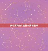 两个属狗的人生什么属相最好，属狗的和什么属相最配
