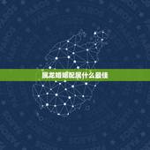 属龙婚姻配属什么最佳，属龙人最佳婚配