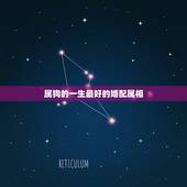 属狗的一生最好的婚配属相，属狗的人和什么属相相配最好