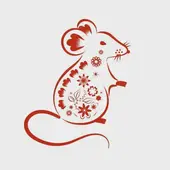 属鼠人今日运势解析：2025年2月9日运势提醒与开运指南