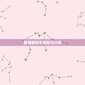 属相猪和牛婚配可以吗，属牛和属猪相配吗