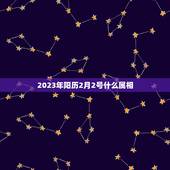2023年阳历2月2号什么属相，阳历5020年2月2号生肖属什么？