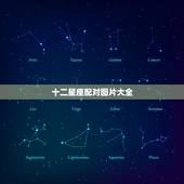 十二星座配对图片大全，十二星座友谊配对