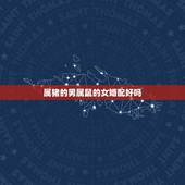 属猪的男属鼠的女婚配好吗，属鼠的女的跟属猪的男的结婚好么？