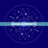 属羊和属小龙的婚配好不好，属龙男和属羊女相配吗
