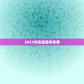 2023年在线算命免费，2020年在线算命免费