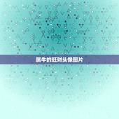 属牛的旺财头像图片，属牛的微信头像用什么比较吉利啊？谢谢你们了！