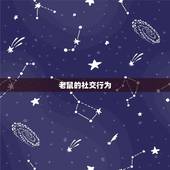 鼠的姻缘什么时候到来(寻找爱情的小老鼠)