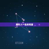 属牛人一生的克星，1985年属牛女今的克星是什么属相