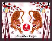 属虎今日运势全解析：2025年2月6日吉凶指南