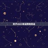 双子2023年运势桃花运