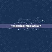 小细胞癌晚期已经存活10年了，小细胞肺癌10年生存期