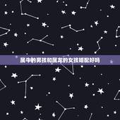 属牛的男孩和属龙的女孩婚配好吗，属龙和属牛的配婚好吗