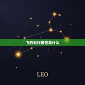 飞的五行属性是什么，鹏和飞字各说几画，五行