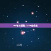 98年的属相2019虎命运，算命属虎在2019年财运如何