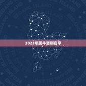 2023年属牛吉利名字，2023属牛男孩最吉利的名字