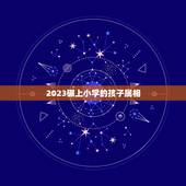 2023碾上小学的孩子属相，2023年的属相是什么生肖