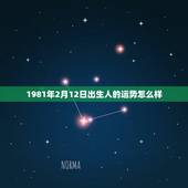 1981年2月12日出生人的运势怎么样