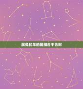 属兔和羊的属相合不合财(介绍属相相合的财运)