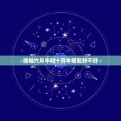 属相六月牛和十月牛婚配好不好，属相历六月的牛和十月的羊能结婚好吗
