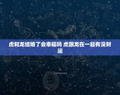 虎和龙结婚了会幸福吗 虎跟龙在一起有没财运