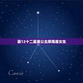 画12十二星座公主摩羯座女生，画摩羯座少女简单