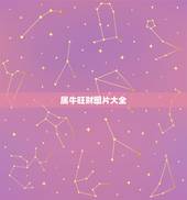 属牛旺财图片大全，属牛的人带什么手表能招财