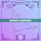 属猪的和什么属相相处最好，属猪的和什么属相最配 解析性格