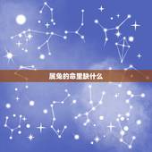 属兔的命里缺什么