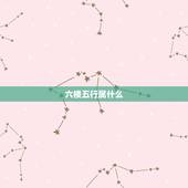 六楼五行属什么，数字五行的属性？
