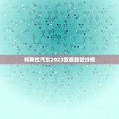 特斯拉汽车2023款最新款价格，特斯拉电车2023款最新款价格