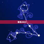 取名2023，女孩起名2023属牛