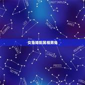 女兔婚配属相男兔，女兔子和男兔子相配吗？