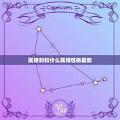 属猪的和什么属相性格最配，属猪的和什么属相最配