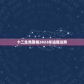 十二生肖属相2023年运程运势，2023生肖运势大解析 十二生肖